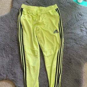 Mens climacool adidas pants